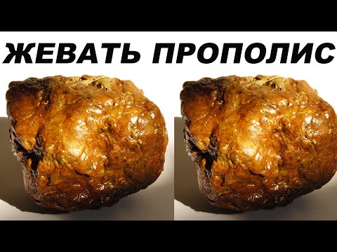 ЖЕВАТЬ ПРОПОЛИС.