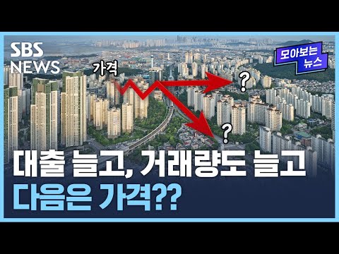 하락세 속 하락폭 감소...부동산 시장 바닥 진입? / SBS / 모아보는 뉴스