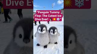 Tiny Penguin, Big Waddle: 30 Seconds of Pure Cuteness Overload #viral #shorts #youtubeshorts