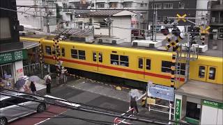 【個性豊かな踏切】東武亀戸線の全踏切を紹介。 亀第1号～亀第22号 Introduce all crossings of Tobu Kameido Line