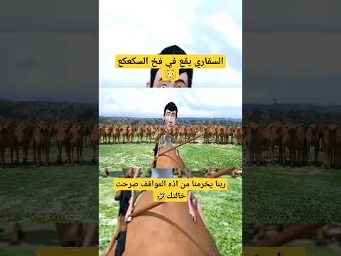 السفاري يقع في فخ السكعكع الجديد نزل