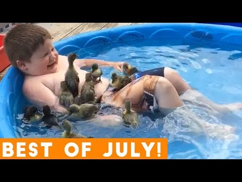 ultimate-animal-reactions-&-bloopers-of-july-2018-|-funny-pet-videos
