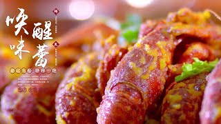 餐饮类广告：赵记龙虾火锅形象片 广告