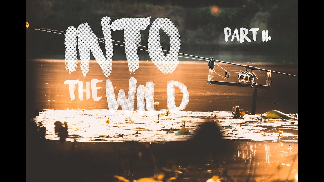 Into The Wild - Part 2.