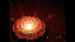 Sleep Meditation Music for Root Chakra || muladhara || Healing screenshot 5