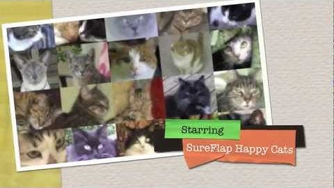 Happy Cats using the SureFlap Microchip Cat Flap
