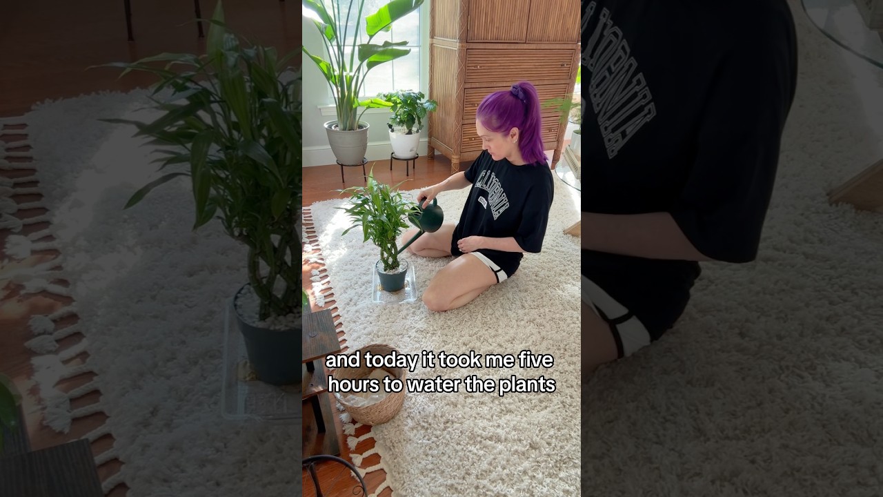 Chronic illness sucks but there is hope and you are not alone. 