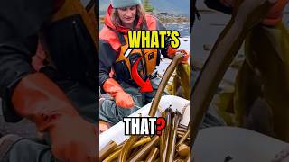 Natures Most Unexpected Snack