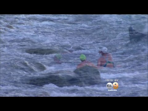 Video: A înotat cineva la Catalina?