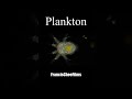 Plankton #Shorts