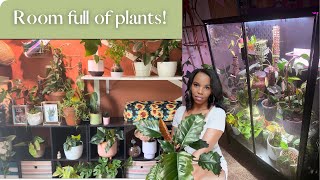 Summer 2023 Houseplant Tour Pt.2