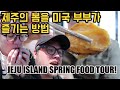이것이 진정한 벚꽃엔딩=전복돌솥밥, 해녀집, 흑돼지. Abalone/ Sea Squirt/ Jeju Black Pig: Amazing spring day on Jeju Island