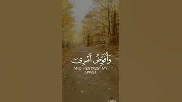 وَأُفَوِّضُ أَمْرِي إِلَى اللَّهِ ۚ إِنَّ اللَّهَ بَصِيرٌ بِالْعِبَادِ {سورة غافر:٤٤﴾|||