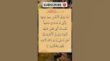 الأية 42 من سورة الزمر#القرأن_الكريم #محمد_رسول_الله #تلاوة_رائعة#سبحان_الله#سورة_الزمر#الحمدلله
