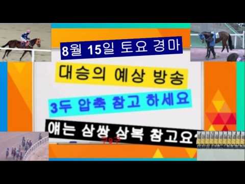 토요 얘가 오면 큼지막 하겠죠 삼복 과 삼쌍 참고 바랍니다?