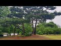 新宿 波止場 ; 美空 ひばり- Shinjuku Hatoba ; Misora Hibari - 수원 효원공원