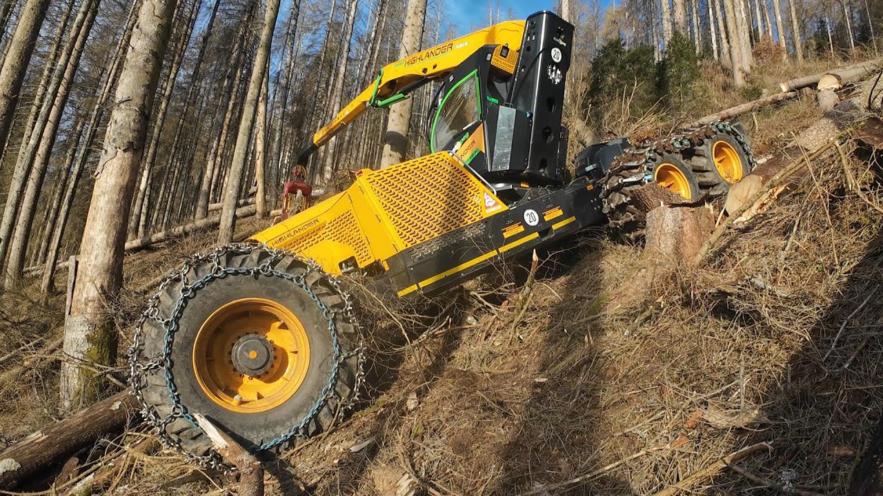 🌲 Forest Peg * Käfer - Starkholz / MS500i ~ MS462 🌲 6 : #