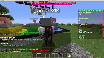 Mineplex Mixed Arcade Hacker