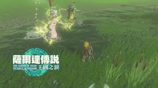 雷的英傑 【薩爾達傳說王國之淚】