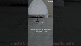 Por más duro que sea nuestras vidas! Solo nos queda aferrarnos a Dios!!🥹🥹💔🙏