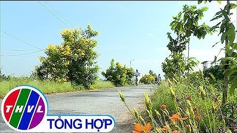 Vĩnh Long nỗ lực về đích sớm  mục tiêu xây dựng nông thôn mới