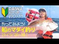 【DAIWA 初心者釣り入門】みっぴのやってみよう！ 船のマダイ釣り［タイラバ釣り編］