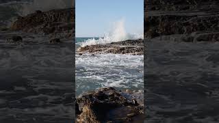 Wild Ocean Sounds ASMR 🌊 波音