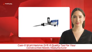 Cwe-X W pH Hammer Drill: A Quality Tool for Your Construction Needs | Manufacturer