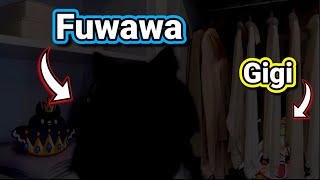 𝗙𝘂𝘄𝗮𝘄𝗮 𝘀𝘁𝘂𝗰𝗸 𝗶𝗻 𝗮 𝗰𝗹𝗼𝘀𝗲𝘁 𝘄𝗶𝘁𝗵 𝗚𝗶𝗴𝗶 𝗮𝘀 𝗽𝘂𝗻𝗶𝘀𝗵𝗺𝗲𝗻𝘁... Hololive