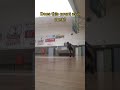Does it #basketball #bball #viral #fyp #fy #foryou #dunk #shorts #tiskeeeofficial #Shorts #tiskeee