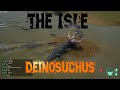 Submerged Annihilator | Deinosuchus | The Isle Evrima