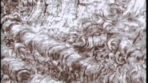 3 Videos: 1. Particle Systems, 2. Excerpts from Leonardo