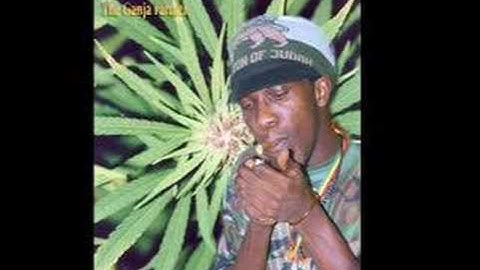Ganja Farmer TV show performance - TV Show performance video thumbnail