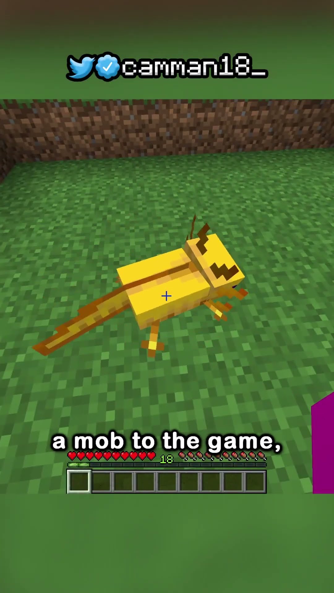 minecraft literally made axolotls :skull: