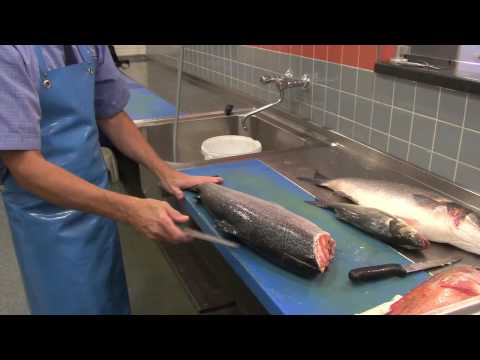 Video: Hoe Schubben Van Vissen Te Verwijderen