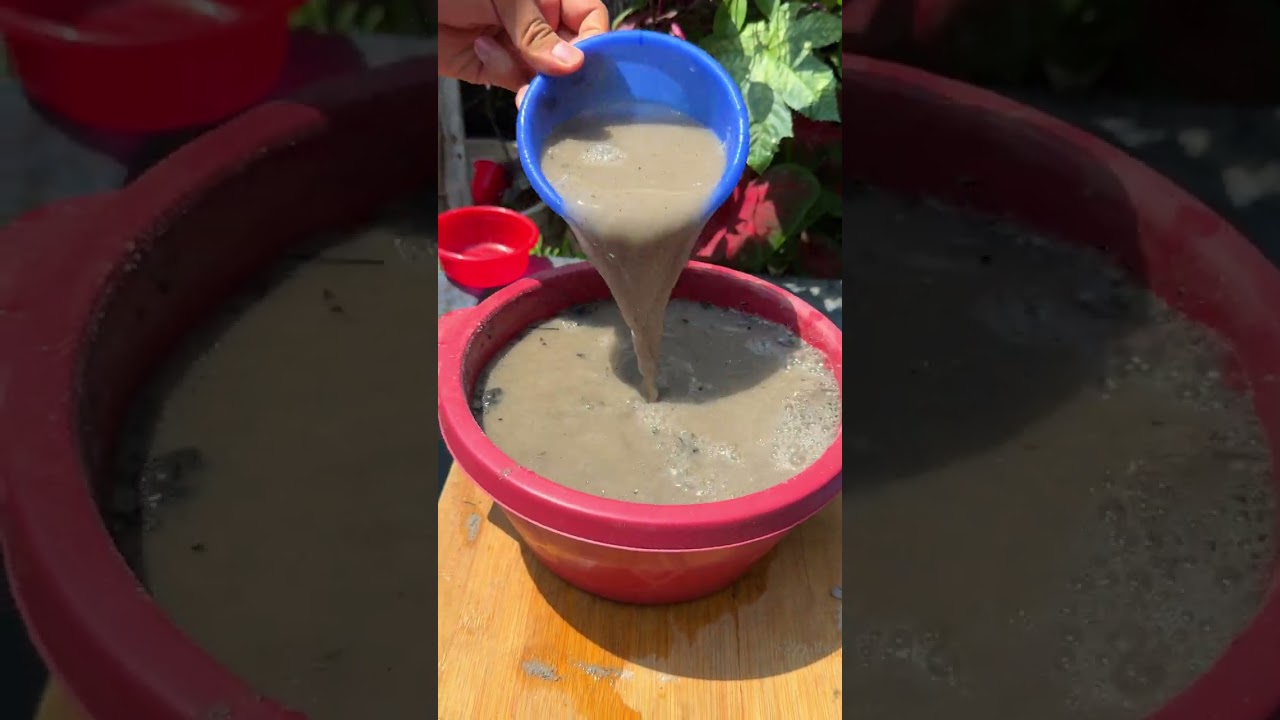 Como preparar un buen abono para plantas usando la ceniza #shorts