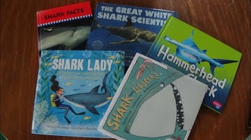 Week 3 Story Time - Sharks