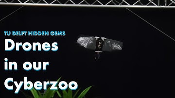 TU Delft Hidden Gems - Discover different drones in the Cyberzoo