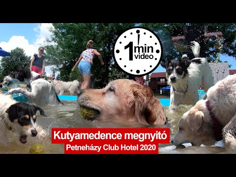 Videó: Van medencéjük a bálnáknak?