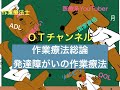 作業療法総論（発達障がいの作業療法）　11時間目「作業療法士（OT）の為の国家試験対策」