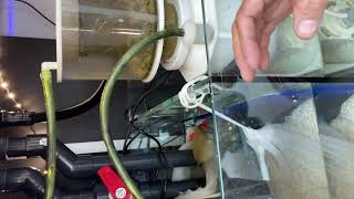 DIY CO2 recirculating scrubber by EconomicalReefer 1,085 views 3 years ago 4 minutes, 43 seconds