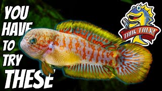 Top 10 Fish That EVERYONE Should Keep At Least Once