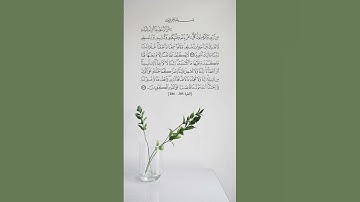 اواخر سورة البقرة #quran #viral #islam #اكسبلور #قرآن #راحة_نفسية 🙏🏻❤️