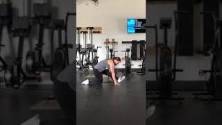 Lizard Lunge to Hamstring Stretch