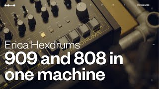 Get to know the new Erica Hexdrums | Voltage Labs