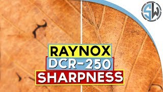 Extension tubes VS Raynox DCR-250 - Sharpness test!
