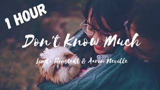 Linda Ronstadt &amp; Aaron Neville - Don&#39;t Know Much (1 hour loop)