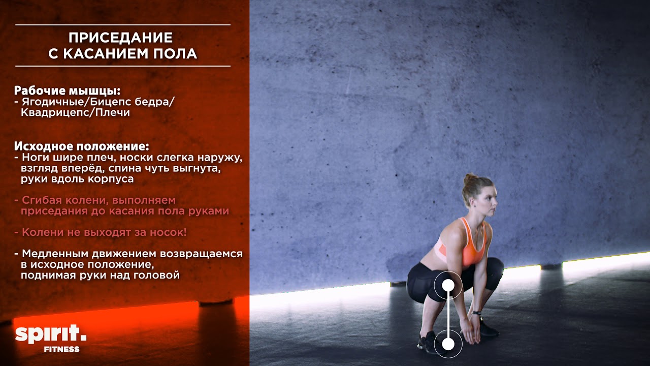 Приседание с касанием пола camera iphone 8 plus apk