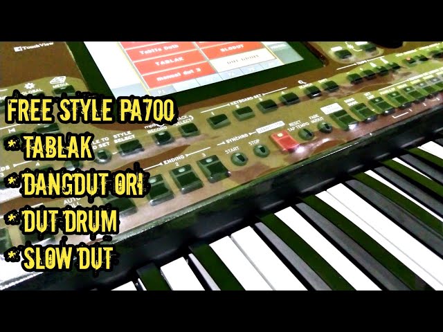 Free style KORG pa700 pa1000 pa900 dan KORG 4x class=