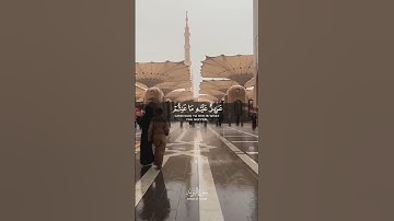 القرآن الكريم ✨🫀 #القران_الكريم #الأستغفار
